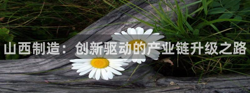 有pg电子的