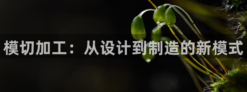 pg20k电子鼓