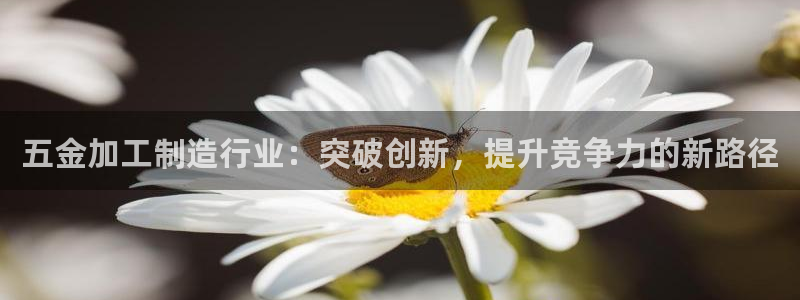 pg电子爆分网址