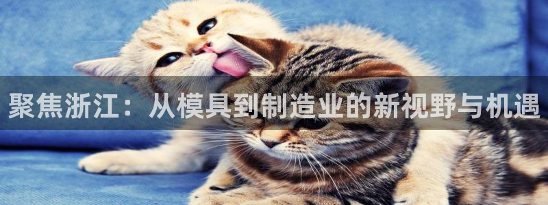 pg电子超市大比拼