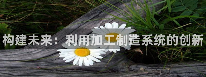 电子pg麻将2视频