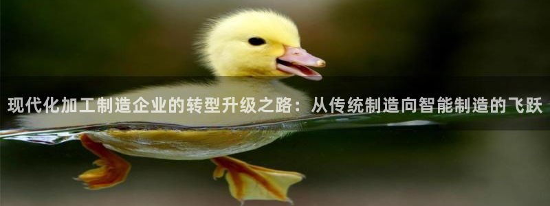 pg电子哪个游戏容易出高分