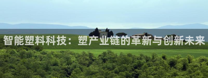 国外pg电子