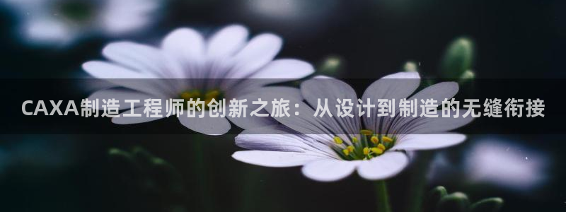 pg电子糖果罐