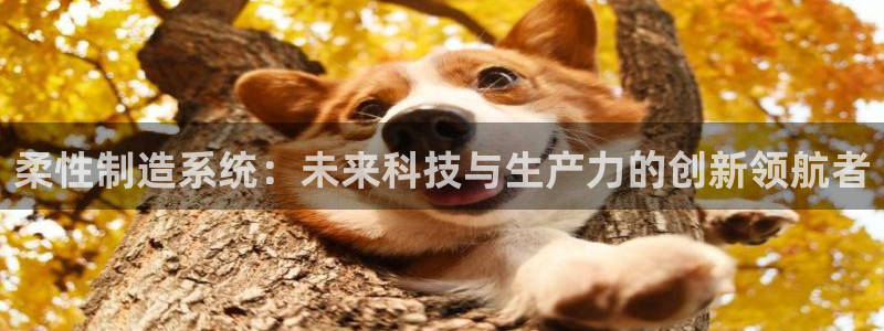 Pg电子海盗船长技巧