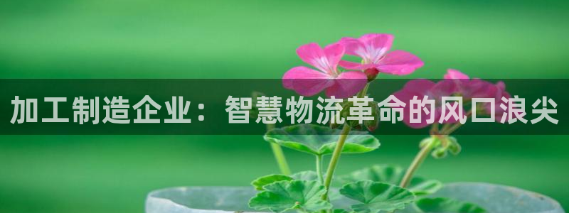 盛大娱乐pg电子游戏