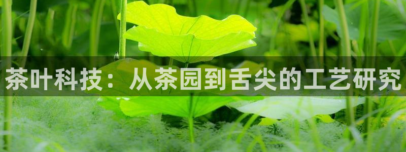 试玩pg电子游戏网址
