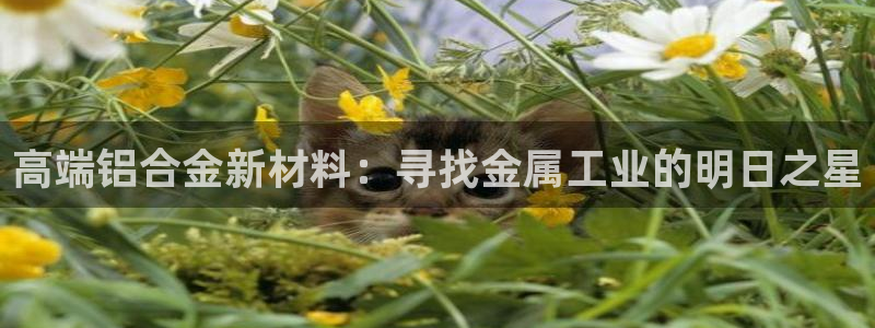 电子PG大奖视频