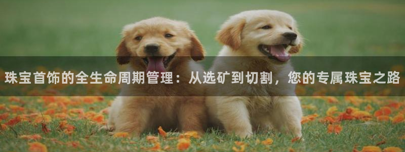 pg电子娱乐平台下载