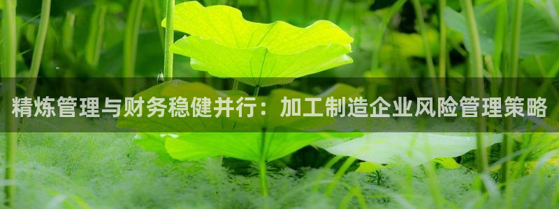 pg电子平台哪里找
