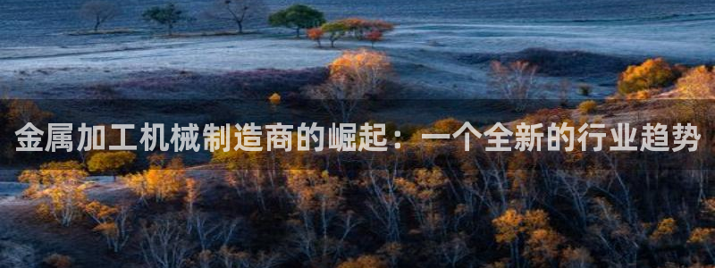 pg电子麻将胡啦