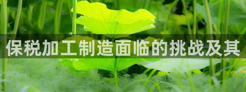 送彩金pg电子平台