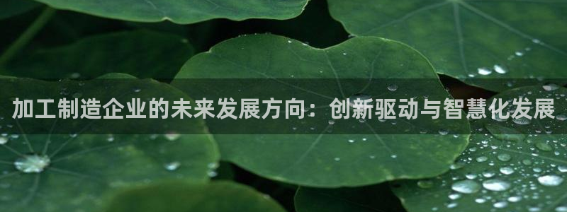 pg电子在线下载