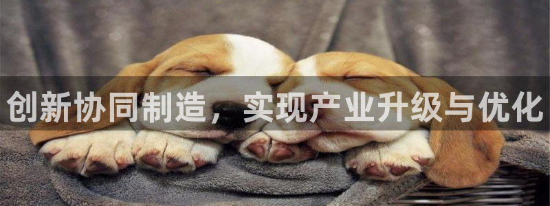 pg电子游戏所有平台