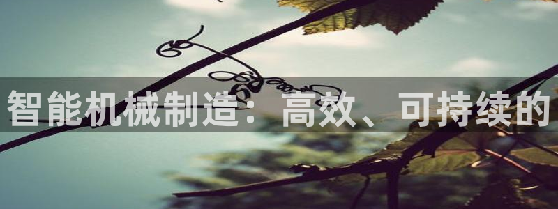 pg电子黄金城游戏视频