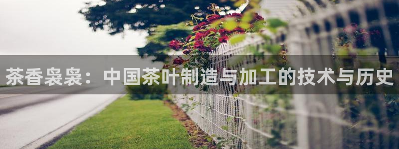 PG电子游戏麻将胡了一直吃分