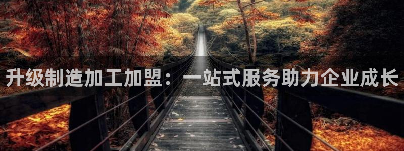 pg电子怎么赚钱