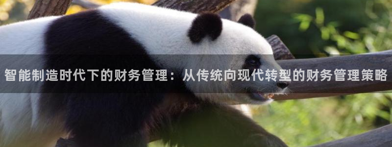 pg电子游戏试玩模式