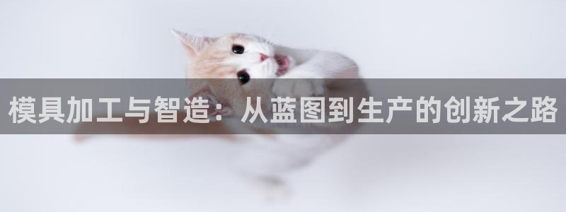 pg电子官方地址