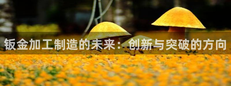 pg电子平台网站大全