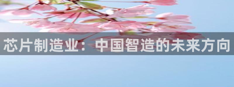 PG电子视频在哪看