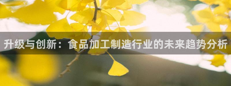pg电子平台网站大全