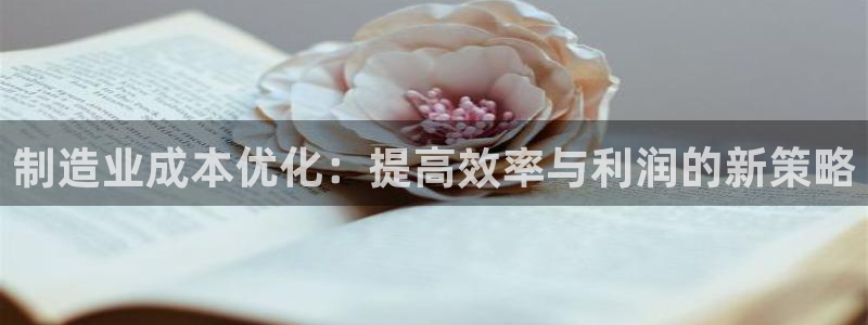 pg电子冰雪大冲关