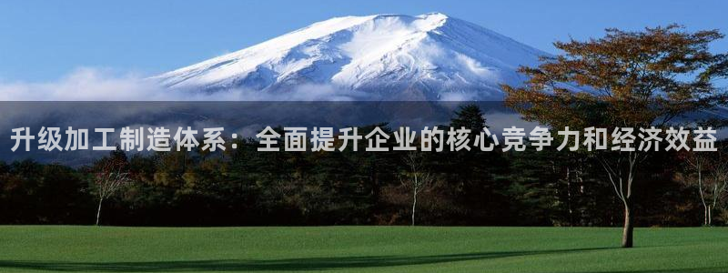 正规pg电子游戏