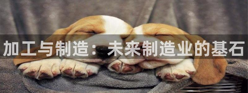 pg电子体育台