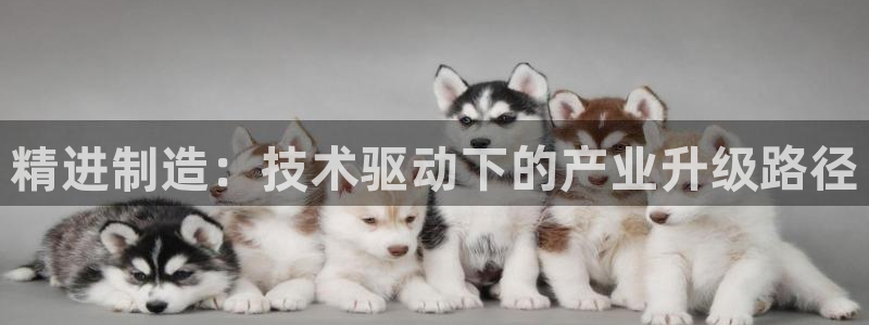 pg电子迎财神改代码
