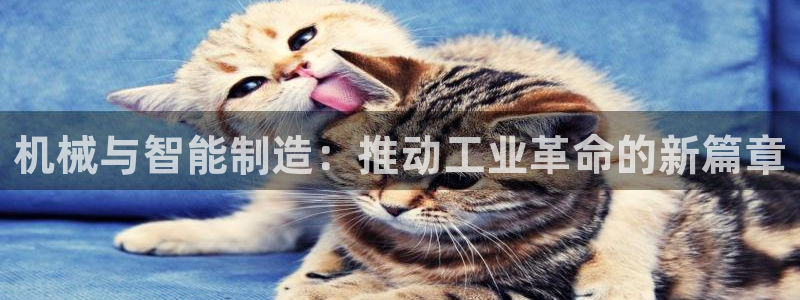最大pg电子游戏官网