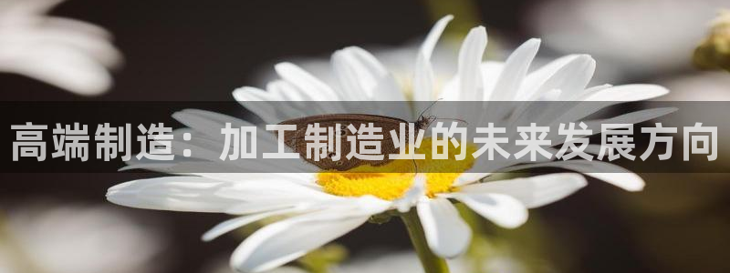 Pg电子刷分