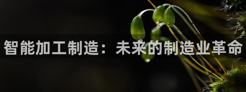 试玩pg电子网址