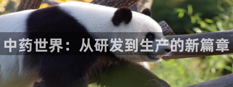 pg电子麻将胡了模拟器