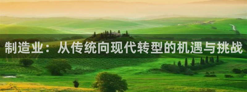 pg电子哪个平台好打