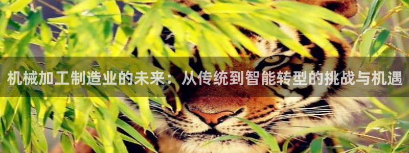 pg电子成就非凡