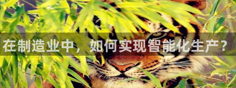 pg电子模拟器试玩在线