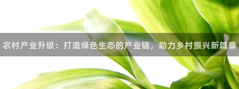 pg电子白天玩还是晚上