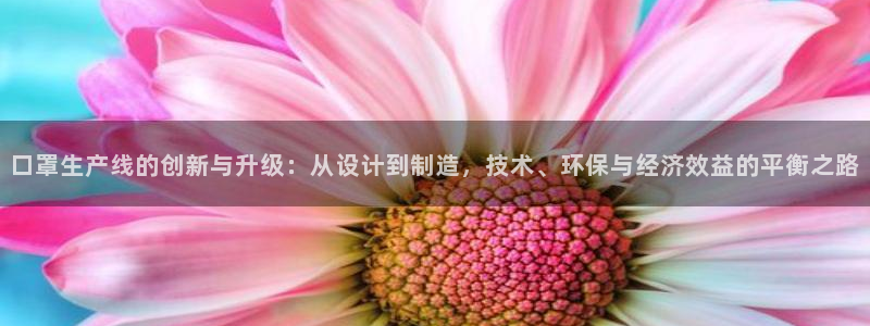 pg电子为什么老是维护