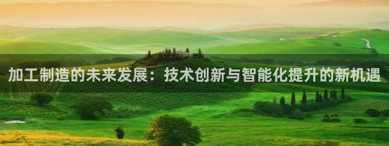 pg电子超市大比拼爆分
