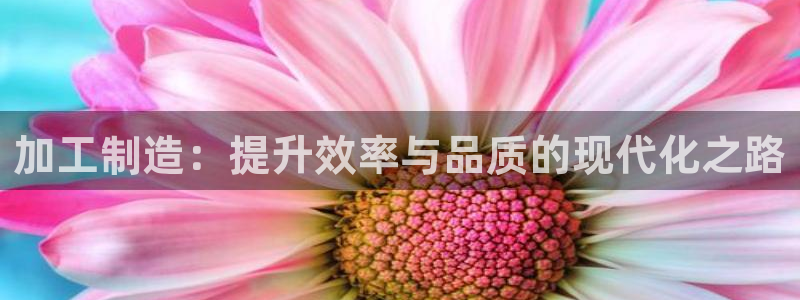 pg电子游戏冰火双骄