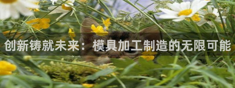 pg电子怎么爆分