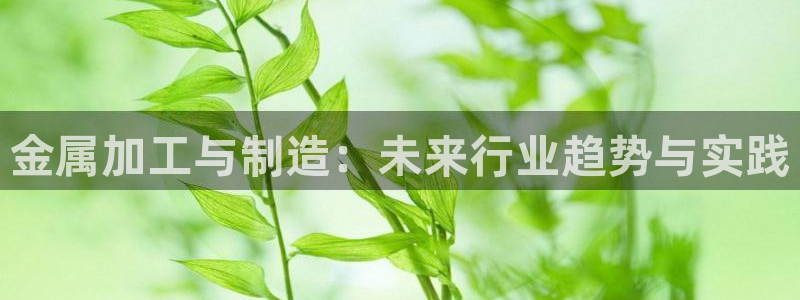 pg电子麻将胡胡了输