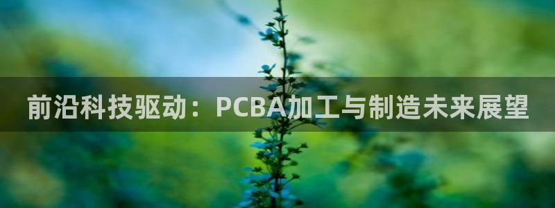 pg电子平台网站