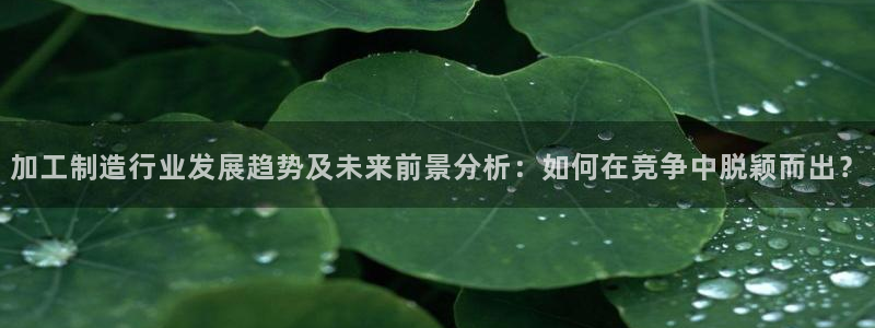 pg电子试玩下载