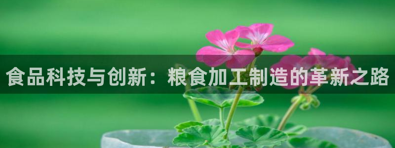 PG电子视频在哪看