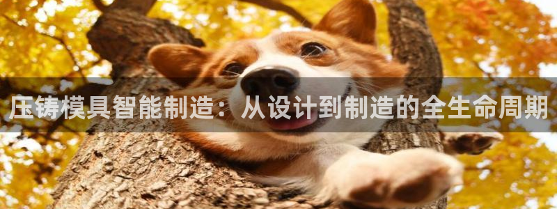 pg电子三只