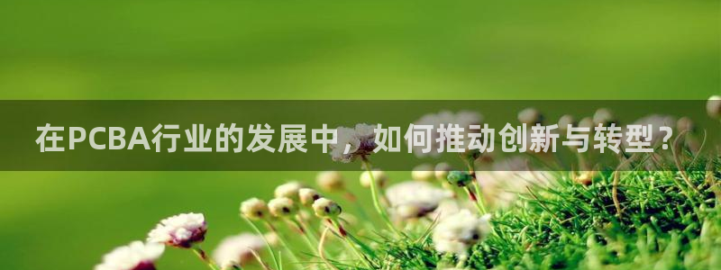 pg电子免费游戏爆分