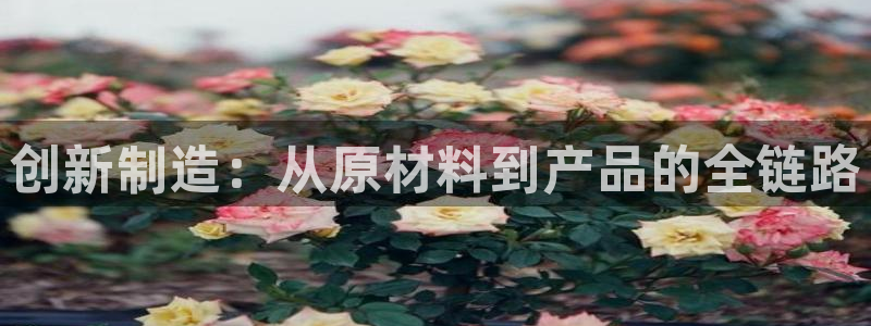 麻将胡了pg电子网站