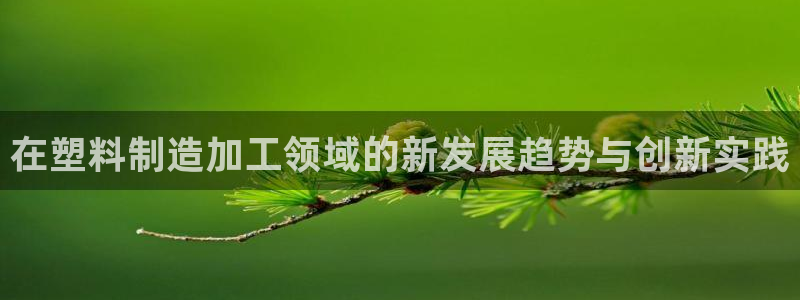 pg电子是谁开发的